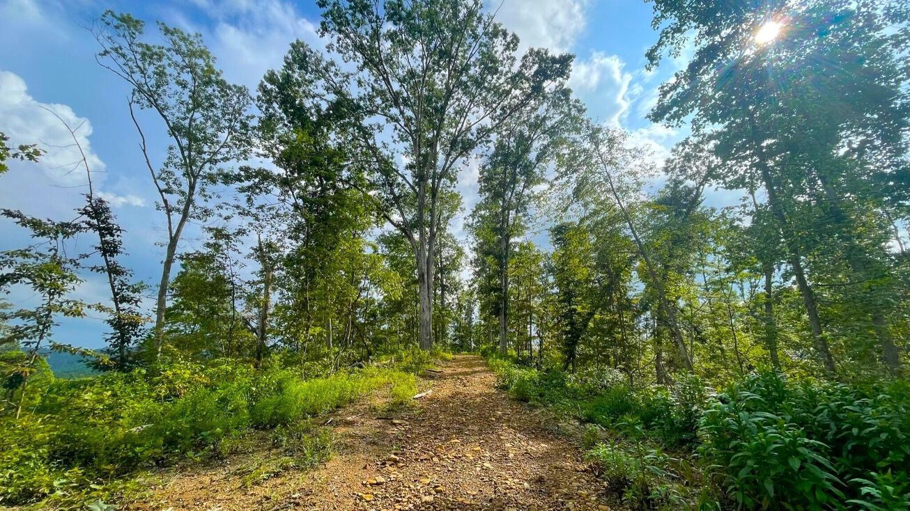 5692 SR 781, Peebles, OH 45660