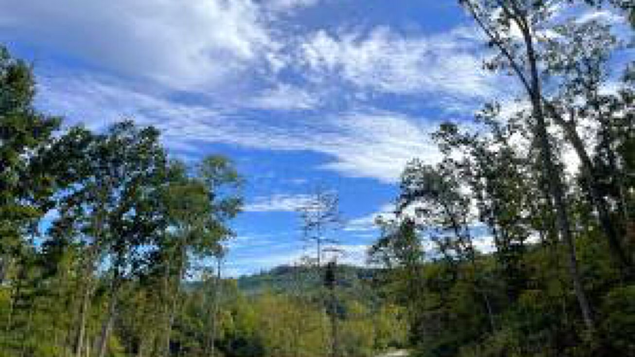 5722 SR 781 Lot 5, Peebles, OH 45660 Land for Sale 5722 SR 781 Lot 5