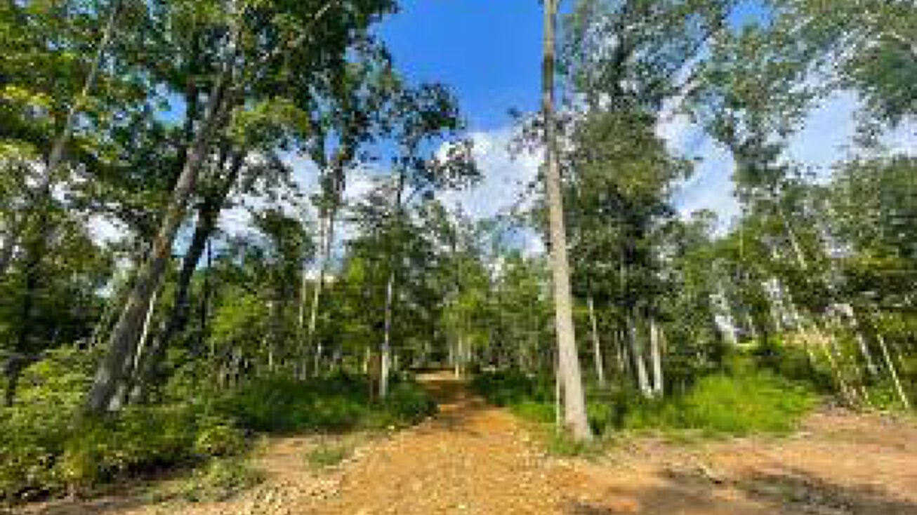 5714 SR 781 Lot 9, Peebles, OH 45660