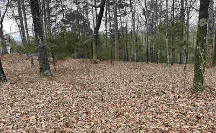 40± Quitman, Arkansas, Quitman, AR 72131 | Crexi.com