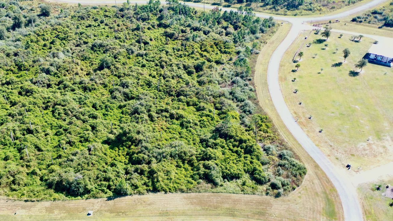 Widewater Cir, Wewahitchka, FL, FL 32465