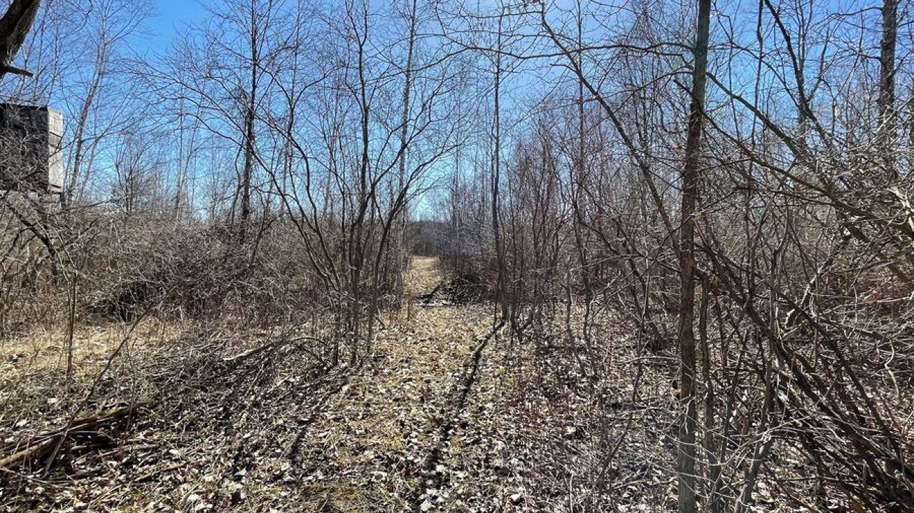 Riley Road, LotWP001 Deford, Deford, MI 48729 Land for Sale Riley