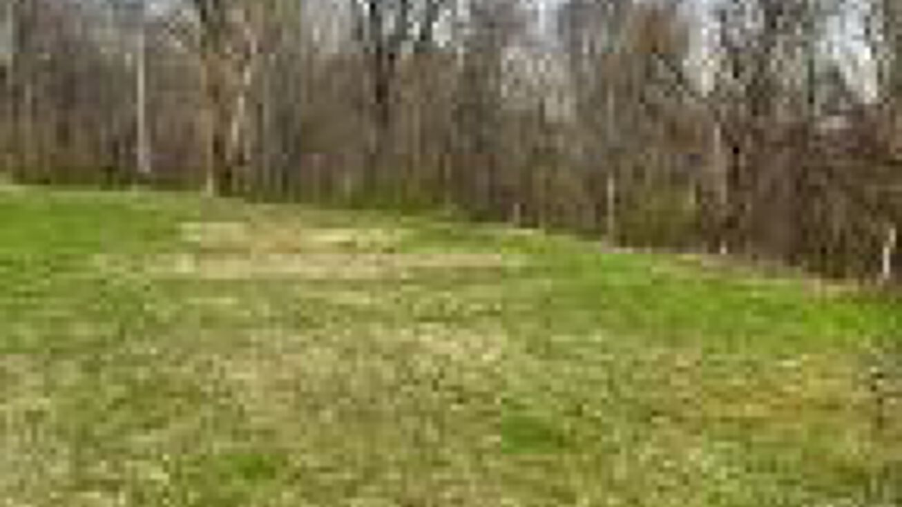 19346 Taylor Ridge Rd, Glouster, OH 45732