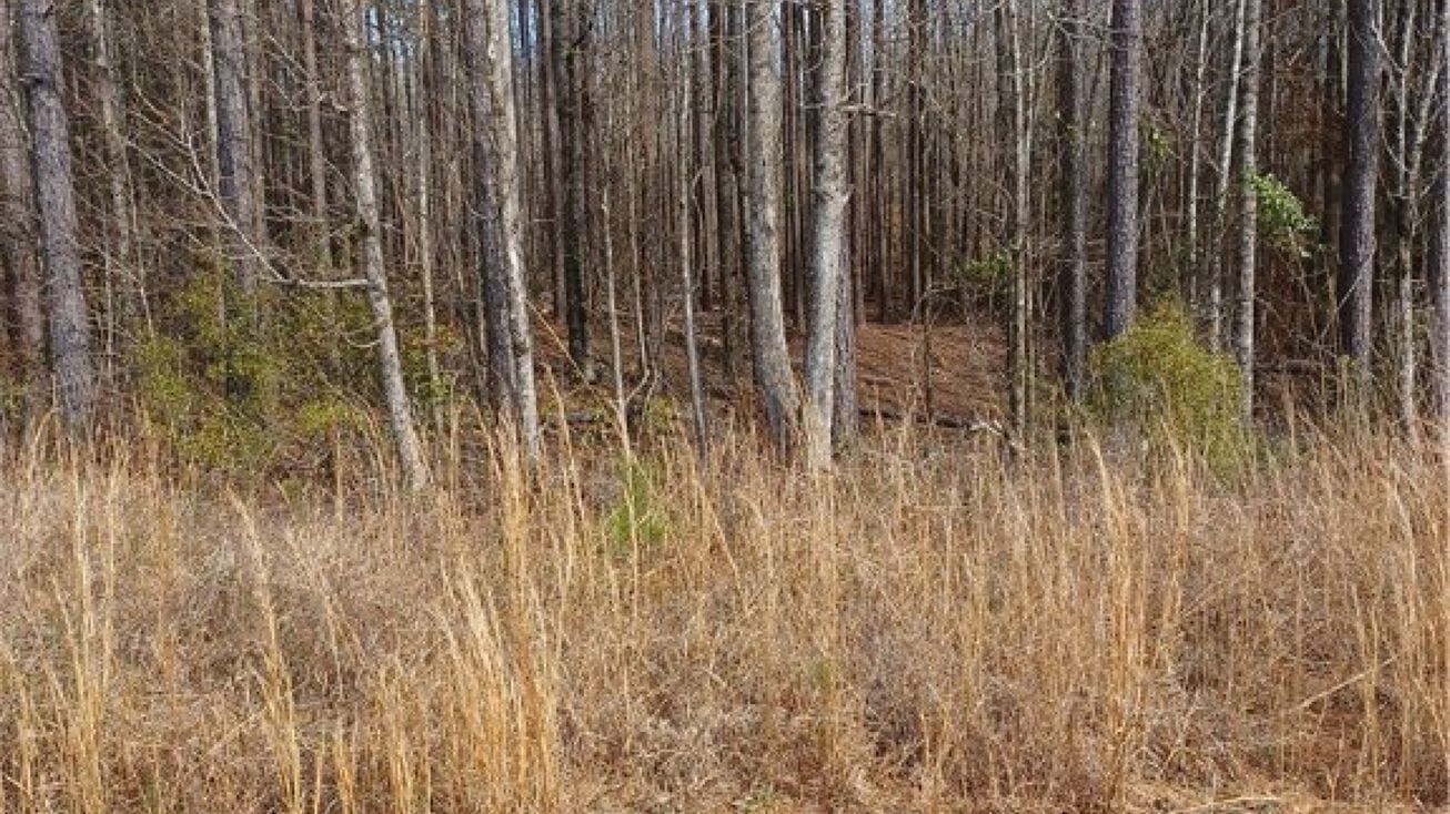 8228 Lee Road 379, Valley, AL 36854 Special Purpose Property for Sale