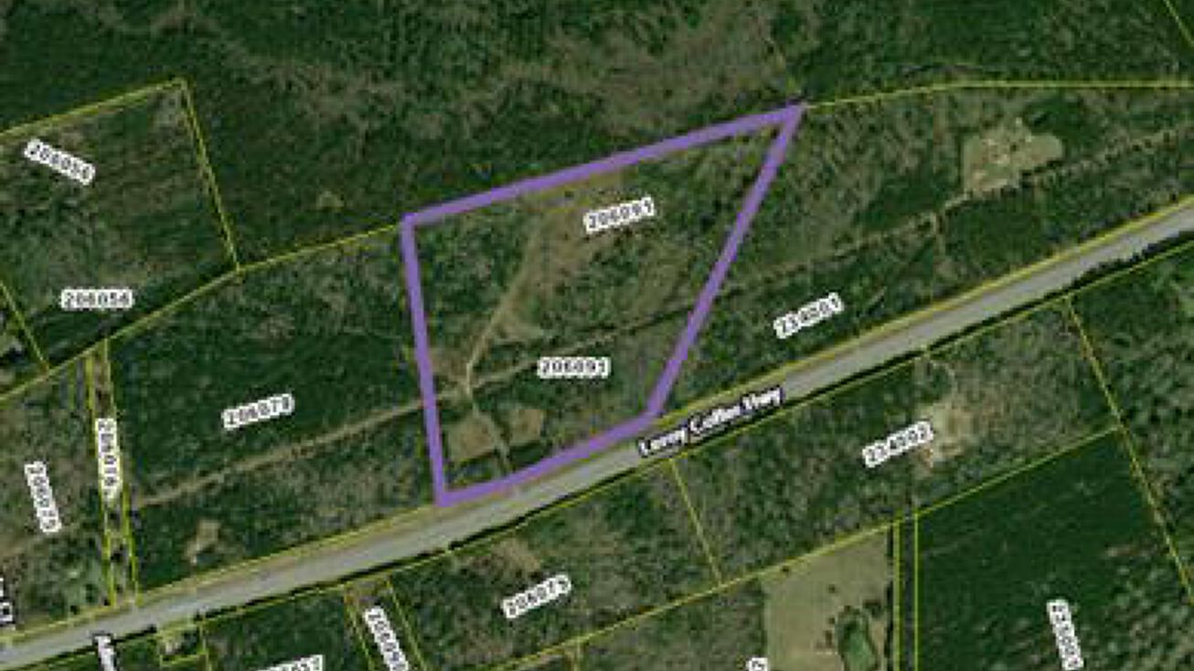 43 Acres Leroy Coffer Hwy, Midway, GA 31320