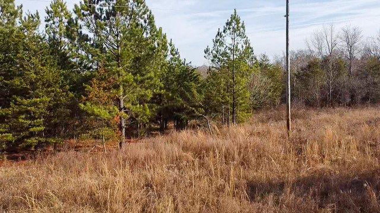 Truevine Rd, Penhook, VA 24137 Land for Sale Creek Front Land for