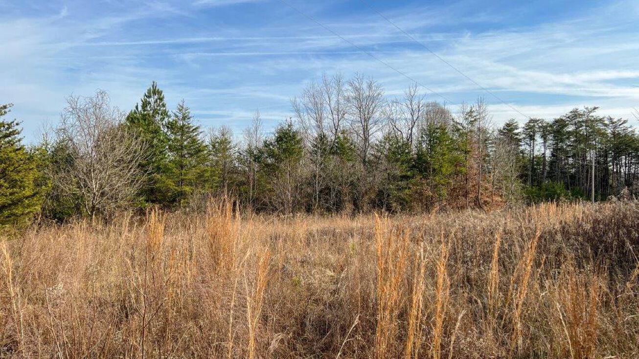 Lot 6 Truevine Rd, Penhook, VA 24137