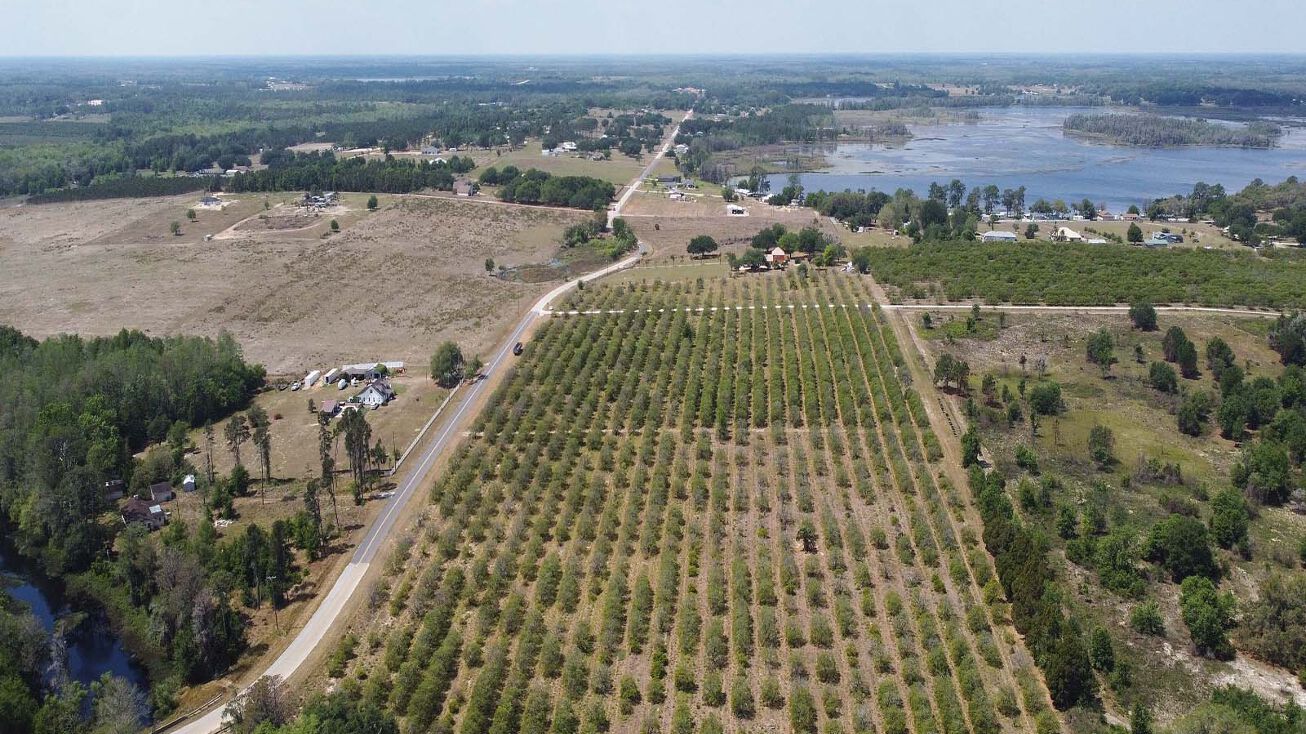 Lake Nellie Rd, Clermont, FL 34714 Land for Sale Clermont Residential Lots