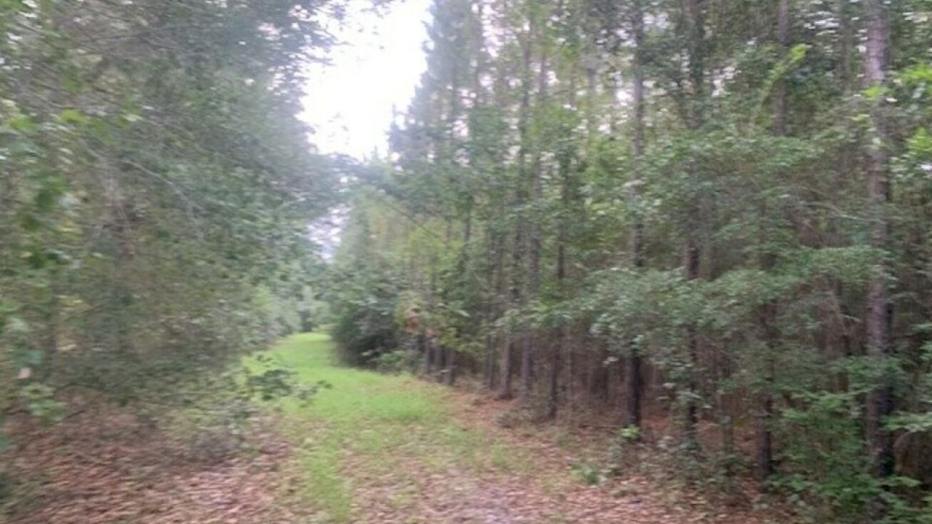 184th Street Par 4, Wellborn, FL 32094