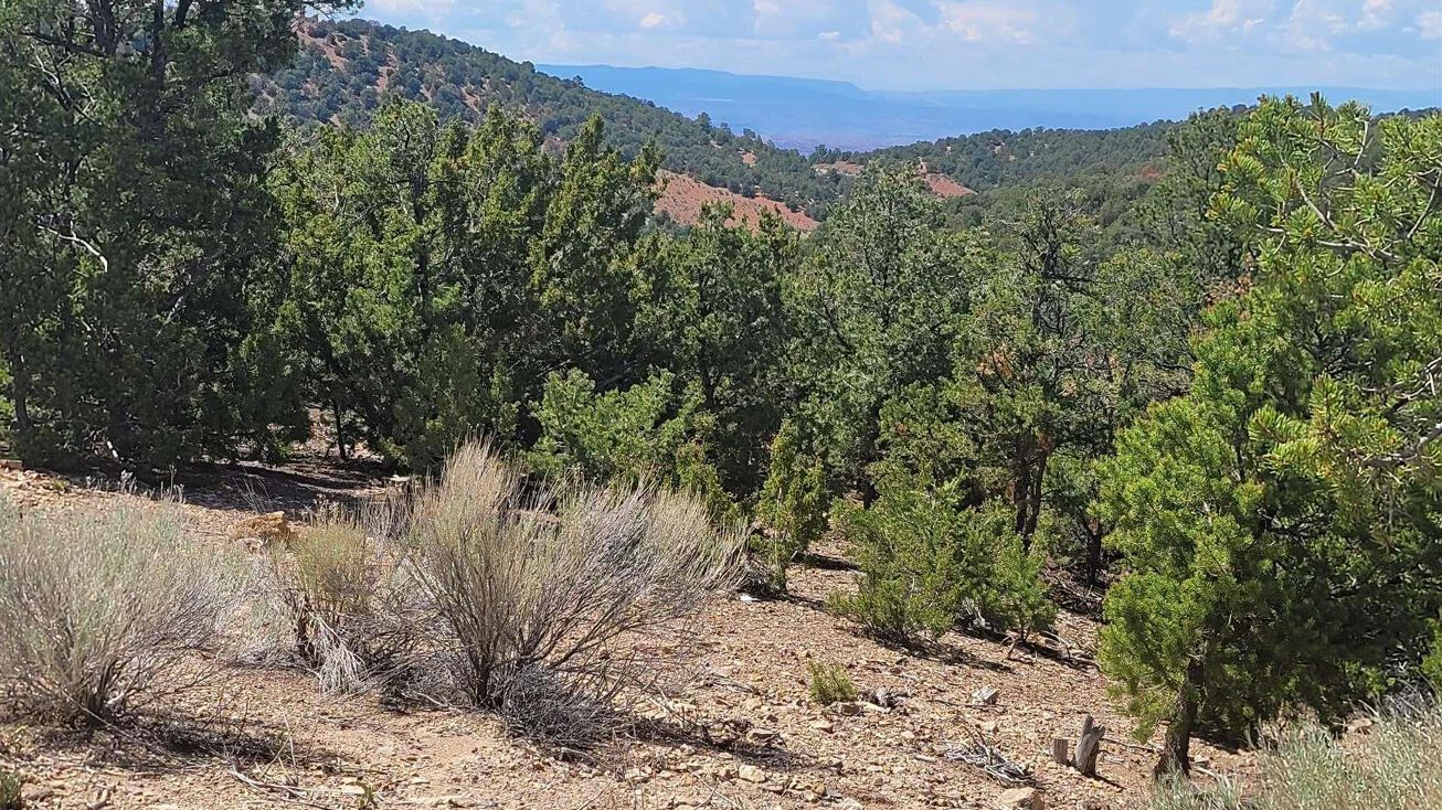 1071 S Summit Ridge, Pojoaque, NM 87501