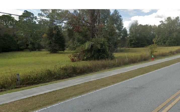 Pictures of Land property located at 818 County Road 252, Lake City, FL 32024 for sales - image #1