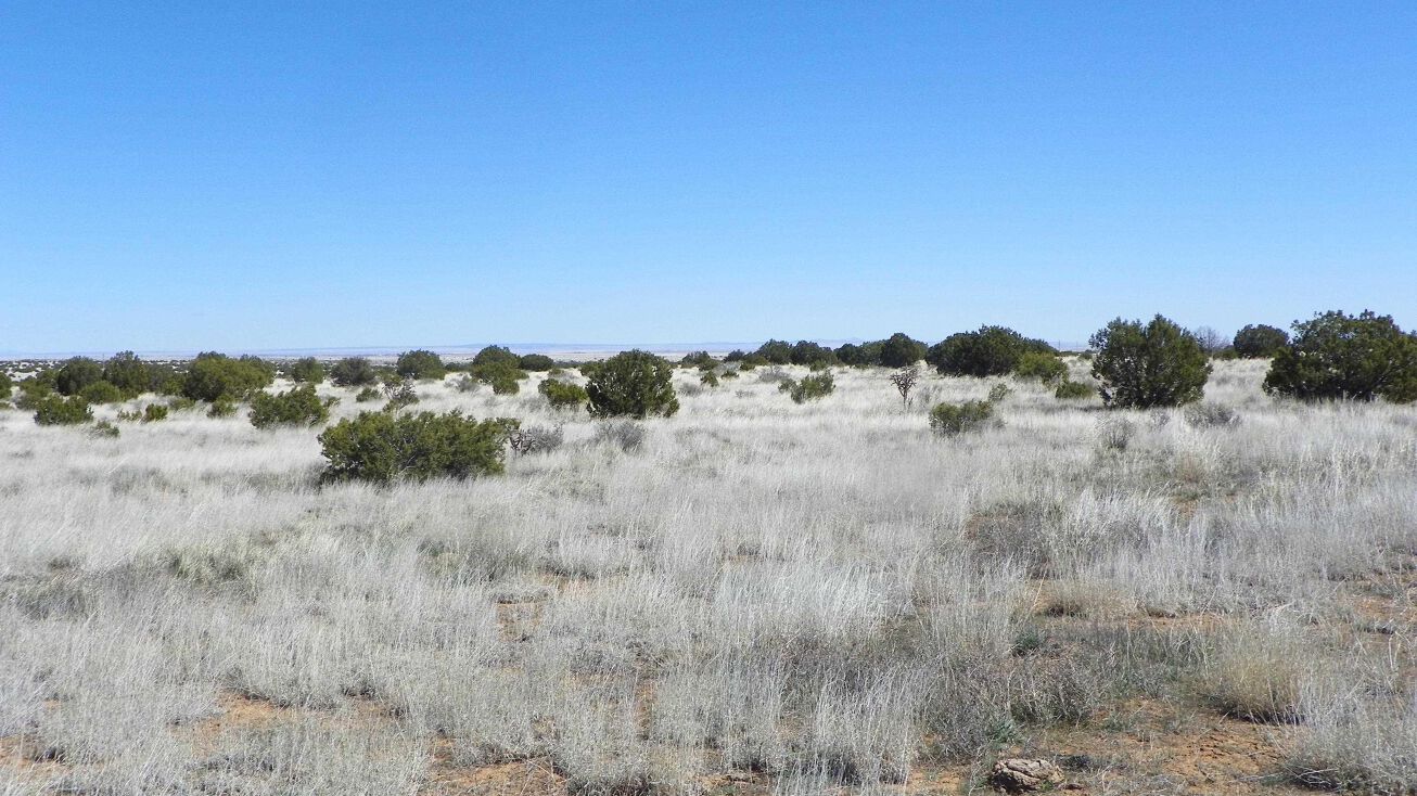 0000 Clifford Trail, Mountainair, NM 87036 Land for Sale 0000