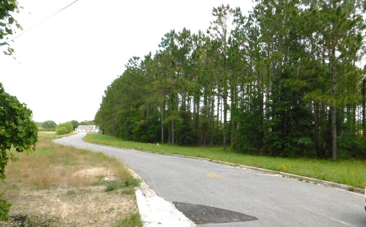 Pictures of Land property located at SW Executive Dr, Lake City, FL 32024 for sales - image #1