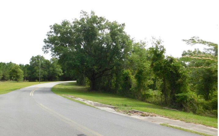 Pictures of Land property located at NW Hall of Fame Dr, Lake City, FL 32055 for sales - image #1