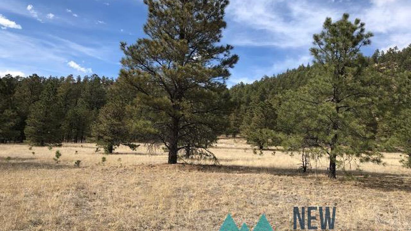 41 CR A003, Mora, NM 87732 - Land for Sale - 41 CR A003