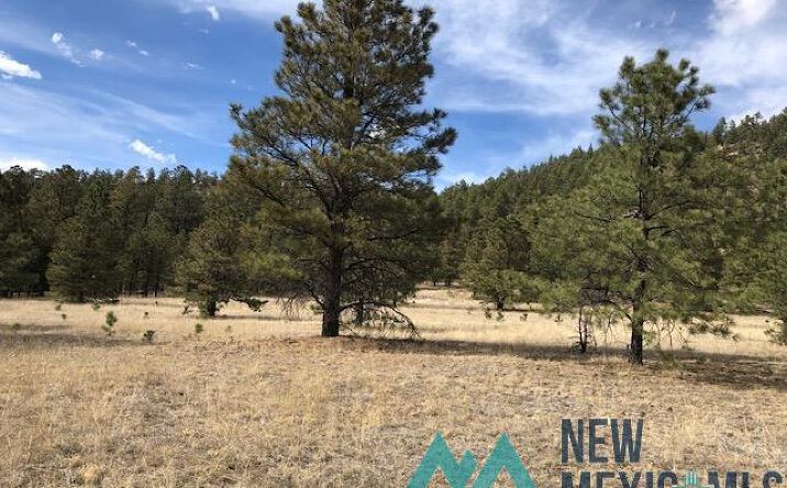 1045 Ac Ctc Ranch, Mora, Nm 87732 - Land For Sale - 1045 Ac Ctc Ranch