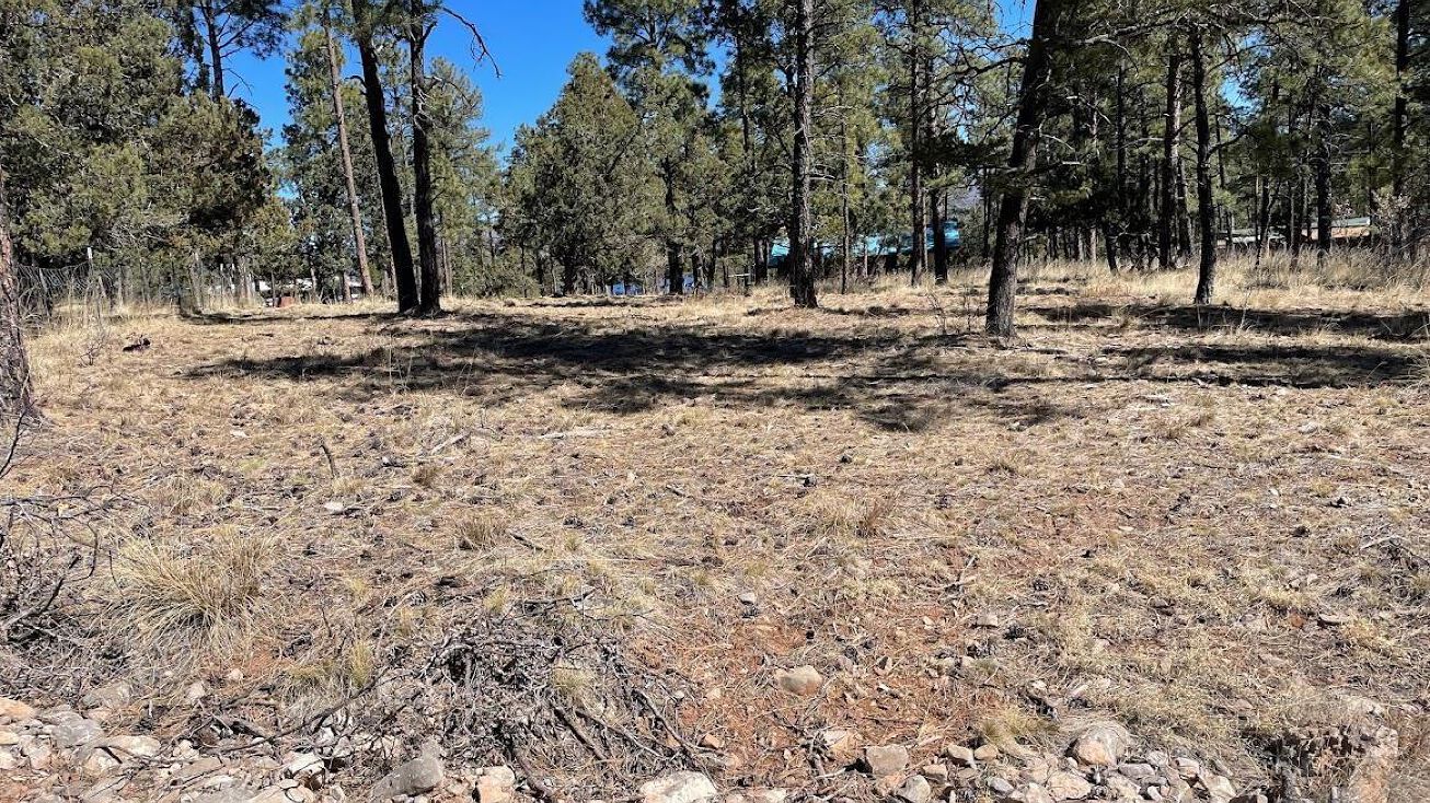 Lots 4041 Homewood, Timberon, NM 88350 Land for Sale Lots 4041