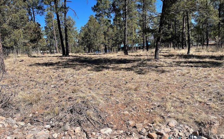 LOTS 40-41 HOMEWOOD Timberon NM 88350 APN: 35035000904 | Crexi.com