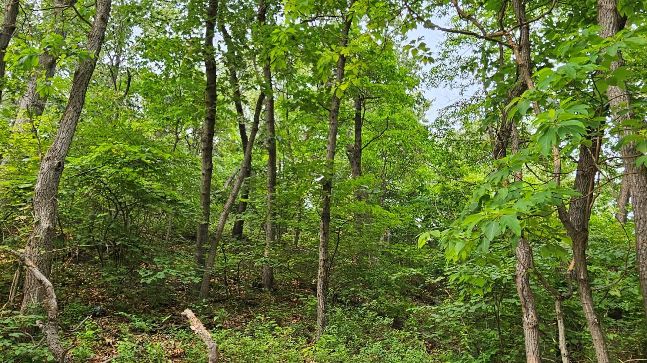 Pleasant Ave, Beverly Shores, IN 46301