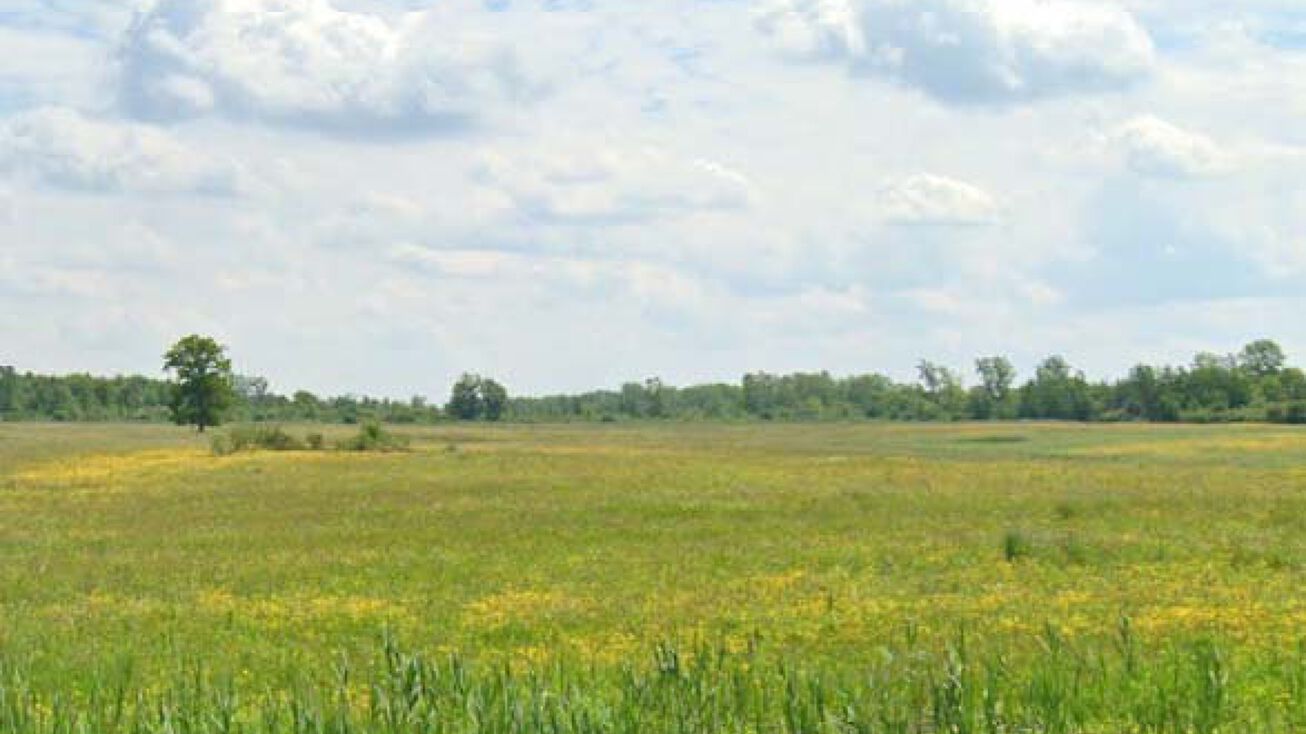 2313 Town Line Rd, Alden, NY 14004