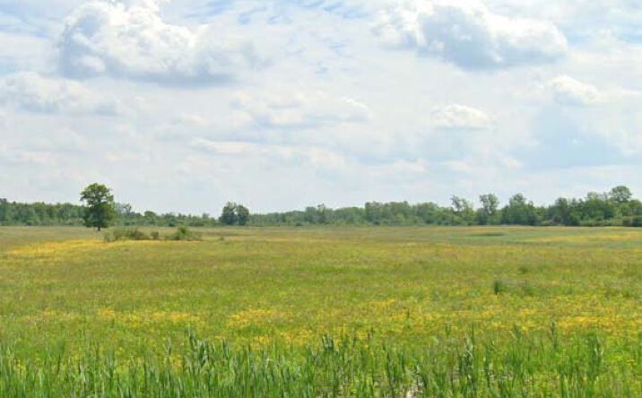 Pictures of Land property located at 2313 Town Line Rd, Alden, NY 14004 for sales - image #1