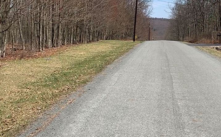 Pictures of Land property located at Lot #3 Fern Dr, Hawley, PA 18428 for sales - image #1