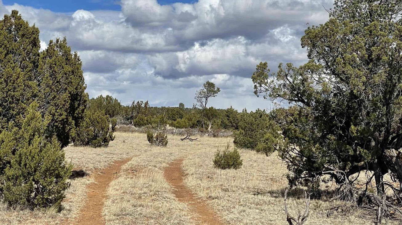 275 Acres Highway 3, Villanueva, NM 87583
