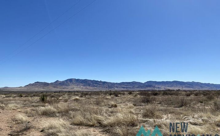 Three Triangle Ranches #37 41 Acres, San Simon, AZ 85632 | Crexi.com