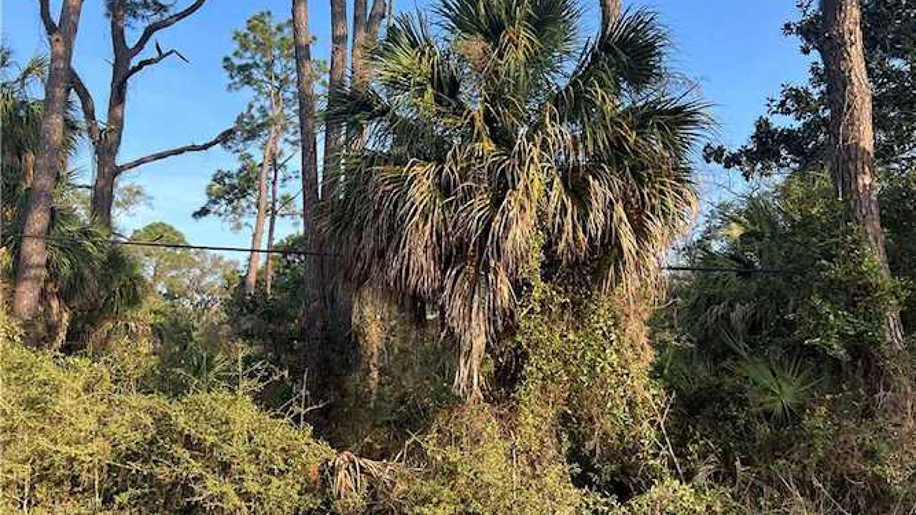 1109 Solomon Ave, Tybee Island, GA 31328