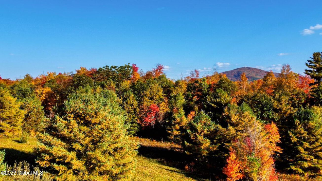 Star Rd, Harpersfield, NY 12167