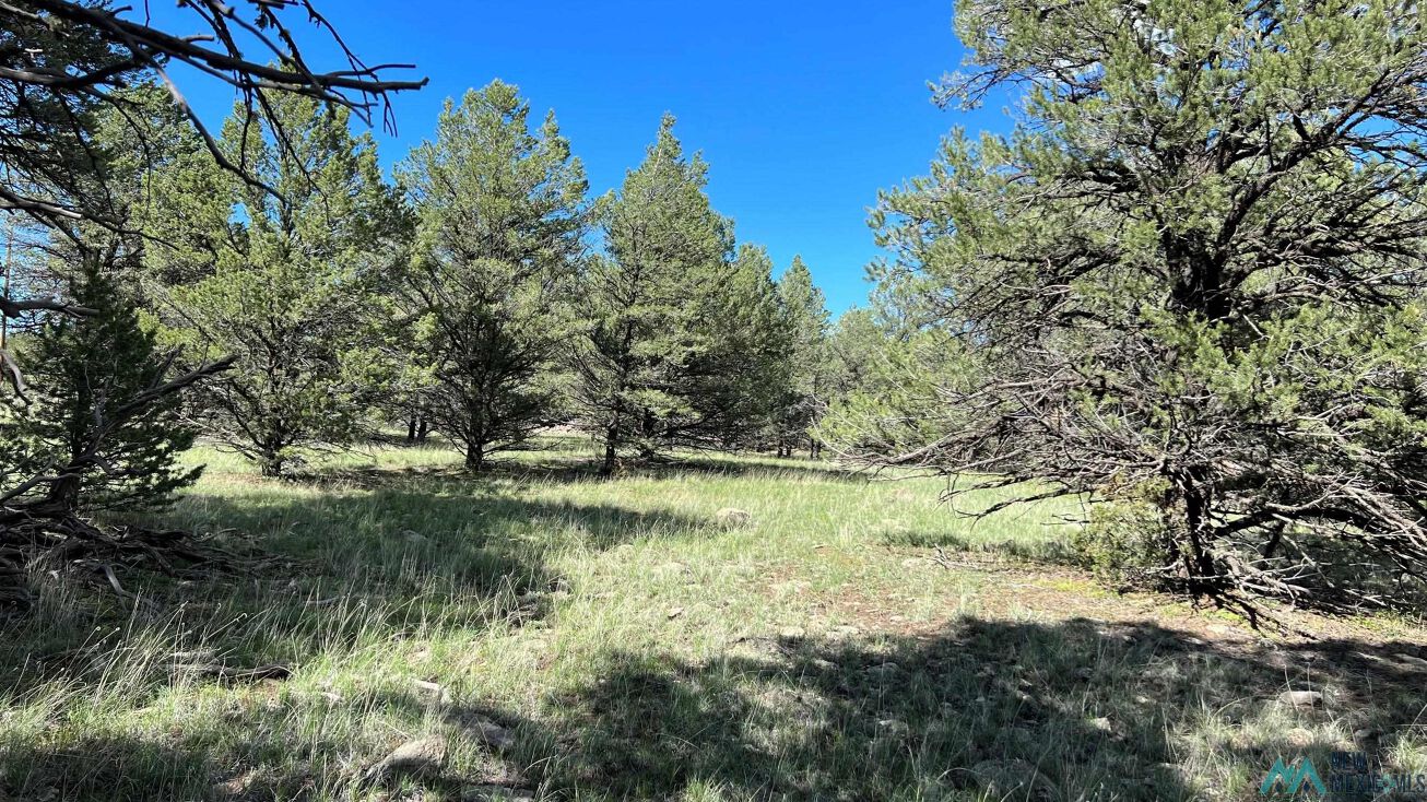 El Caso, Quemado, NM 87829 Land for Sale El Caso Quemado