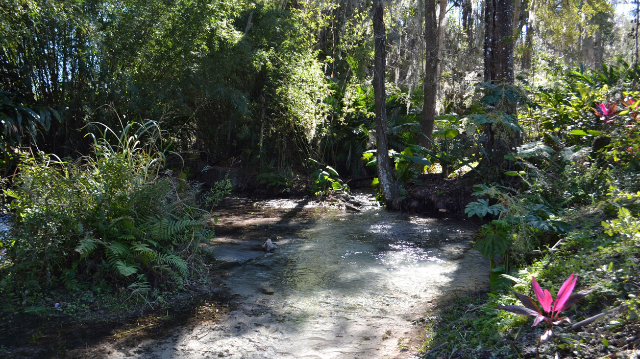 27106 Robertson Rd, Yalaha, FL 34797 Land for Sale The Charming