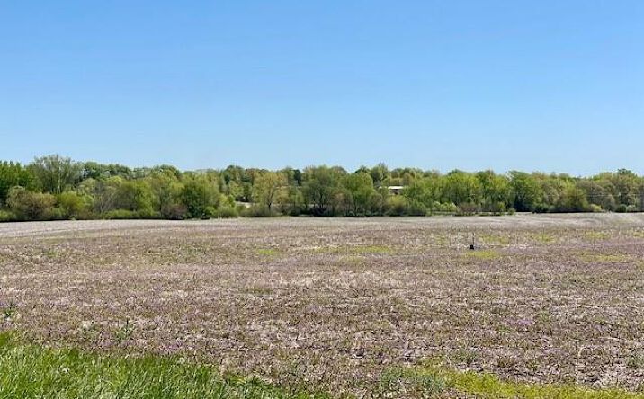Pictures of Land property located at 10A SW 169 Highway, Trimble, MO 64492 for sales - image #1