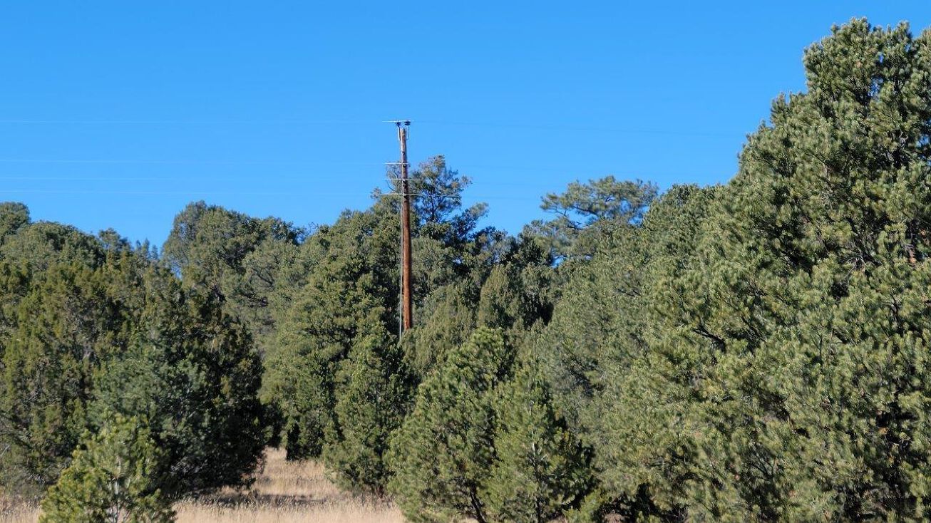 Tbd Swordfish Bluewater Lake, Thoreau, NM 87323
