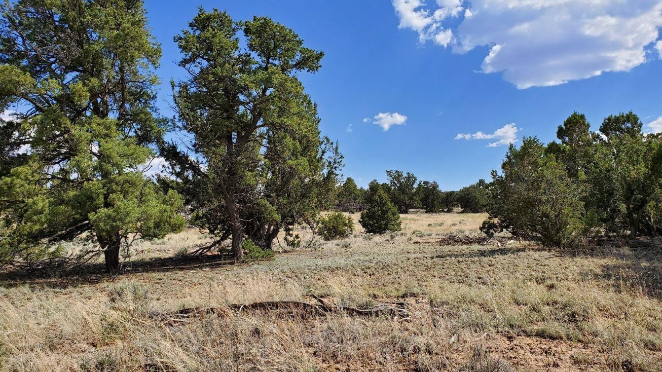 Pinon Trails, Pie Town, NM 87827