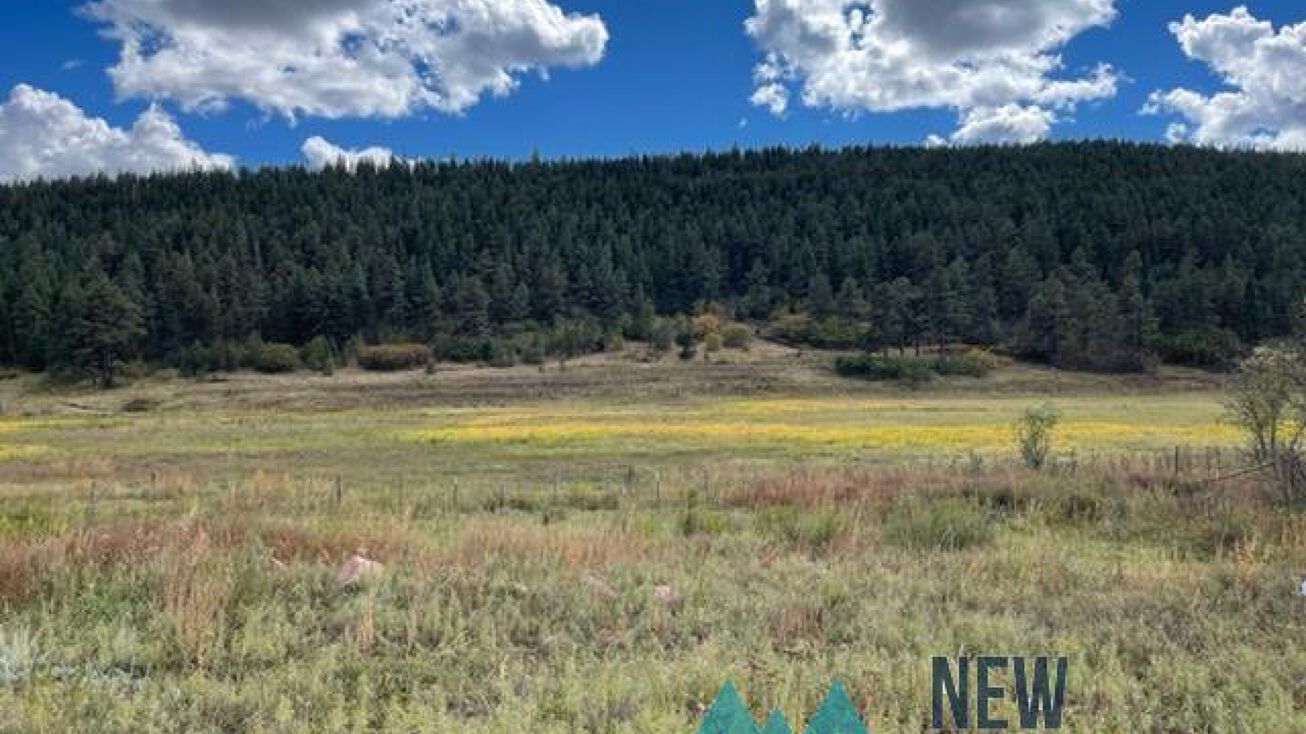 Canada Bonita Rd, Ocate, NM 87734