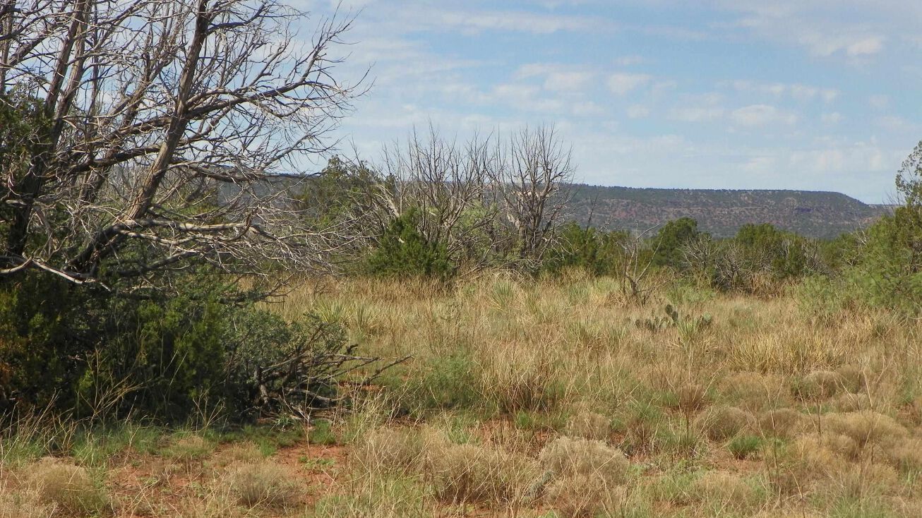 0000 Lot 9 Old Cabin, Cuervo, NM 88417