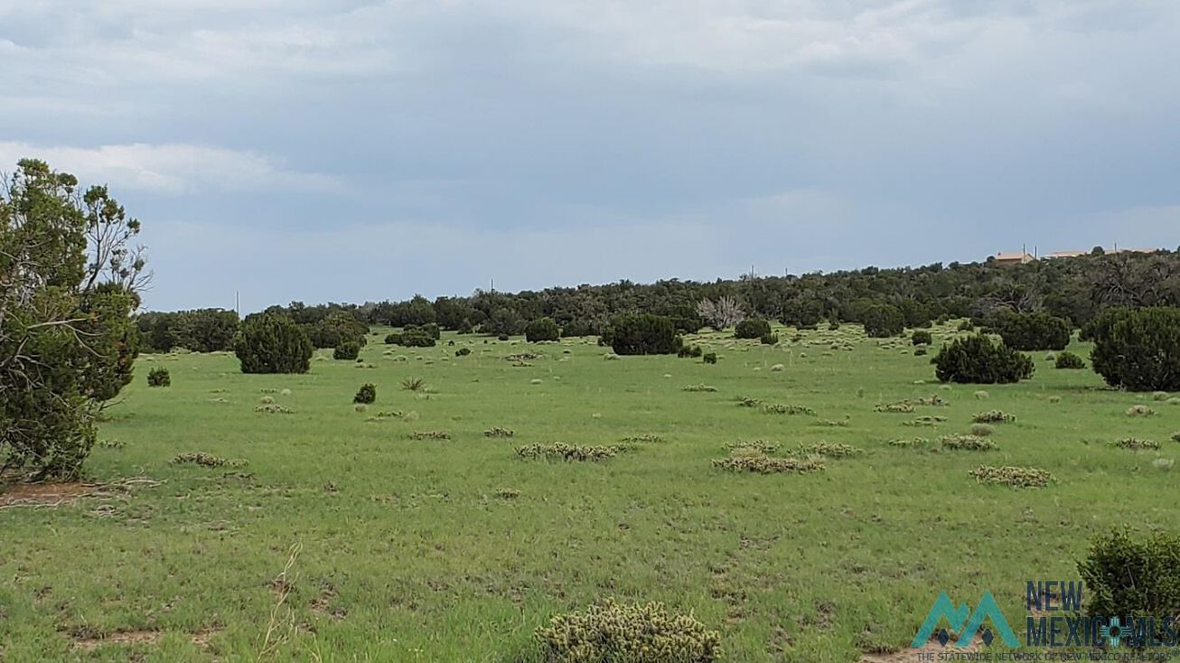 Old Ranch Rd, Quemado, NM 87829 Land for Sale Old Ranch Rd