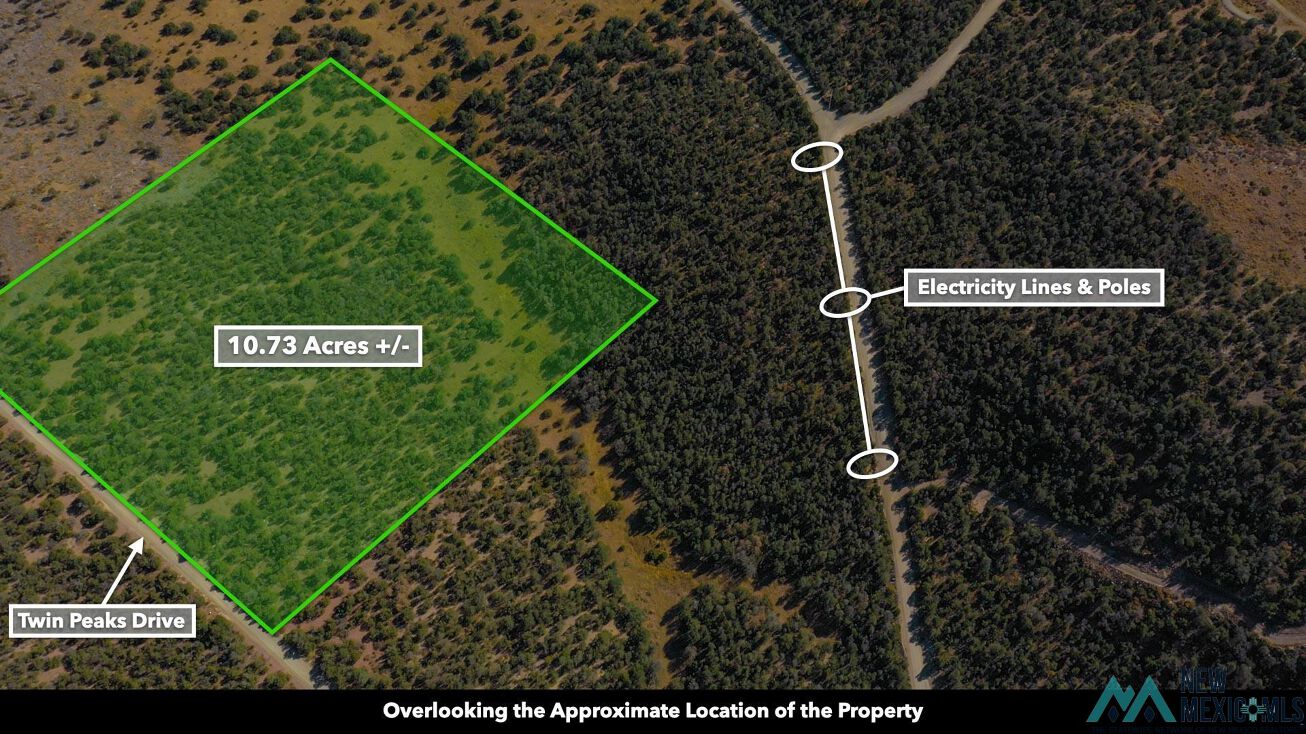 0 Twin Peaks Ct, Estancia, NM 87016