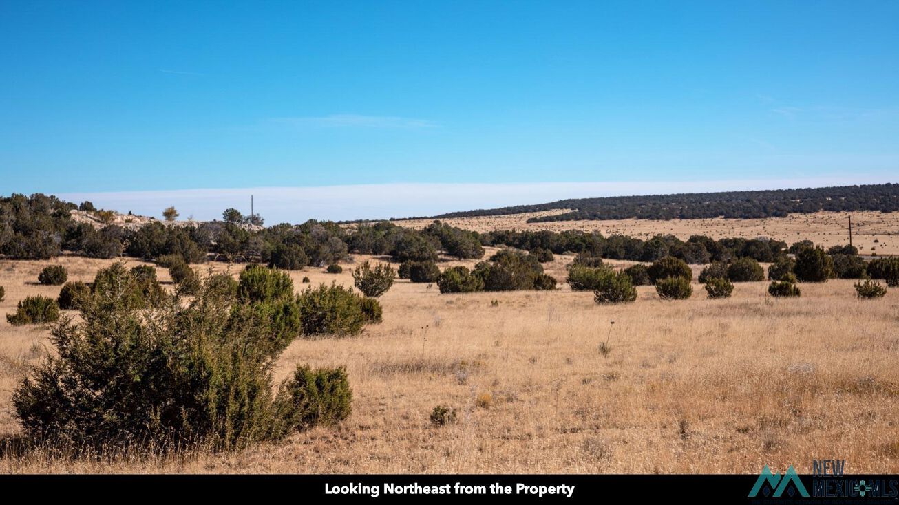 0 Manzano Morning, Estancia, NM 87016