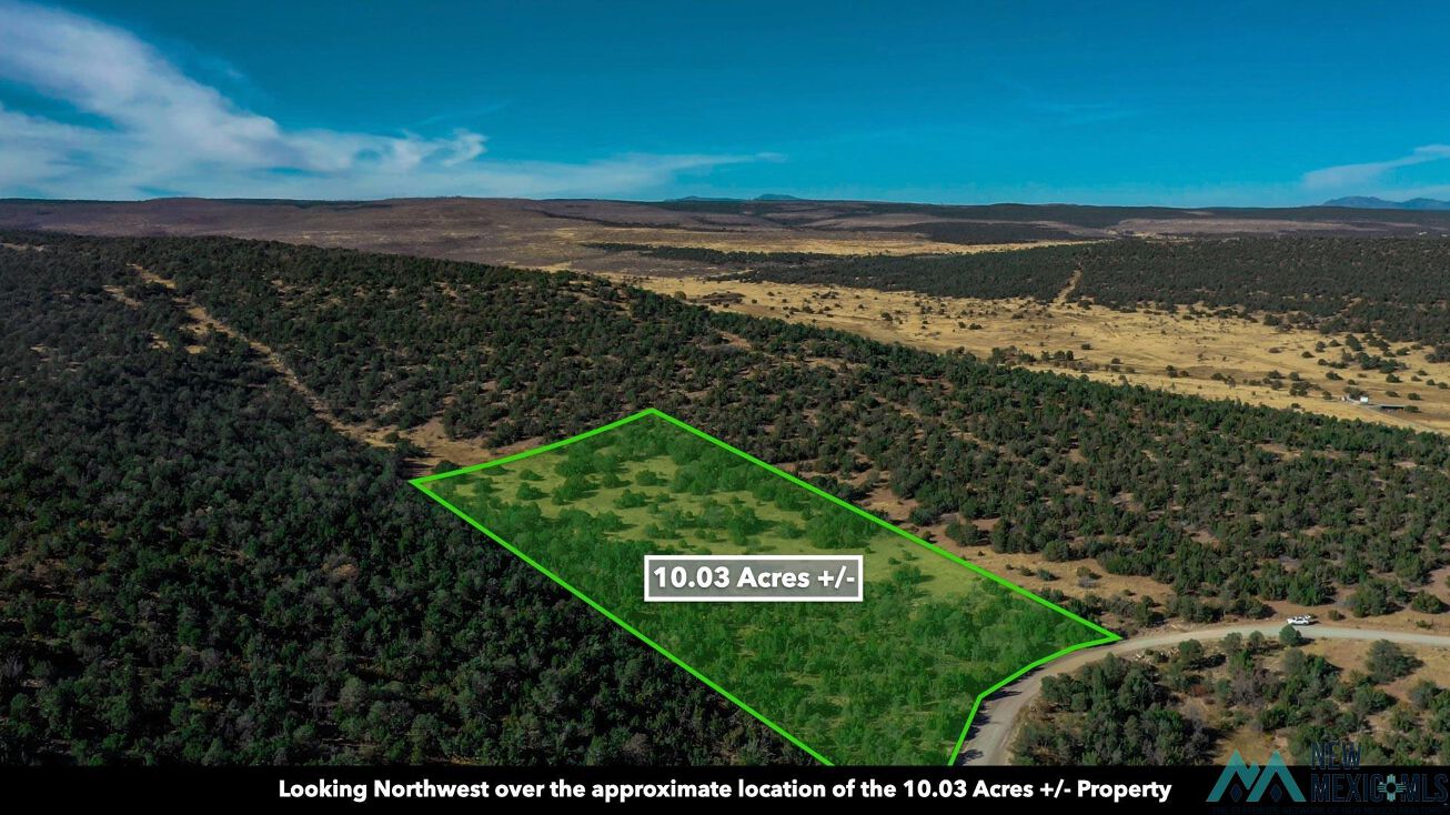 0 Twin Peaks Ct, Estancia, NM 87016