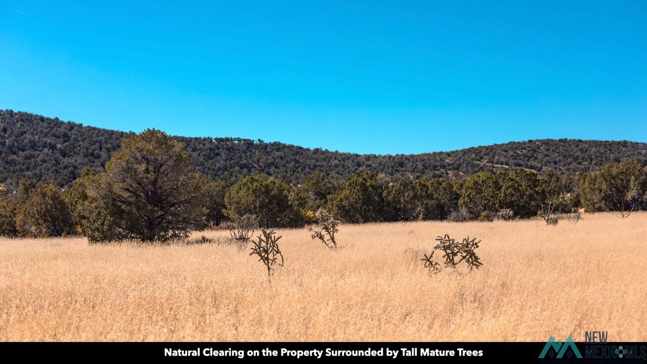 0 Manzano Morning, Estancia, NM 87016