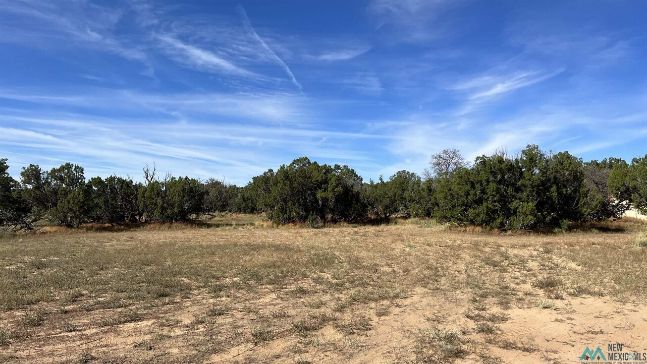 Windmill Ln, Fence Lake, NM 87315 Land for Sale Windmill Fence Lake