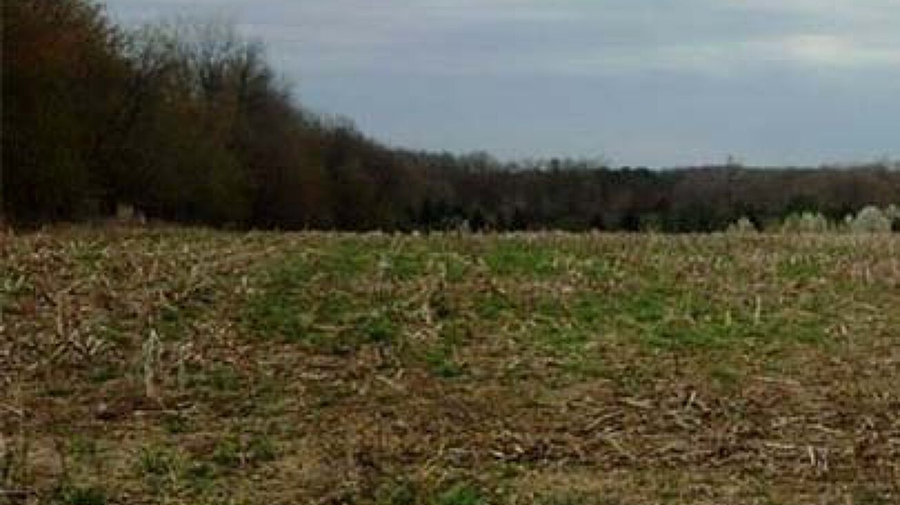 Reimer Rd, Wadsworth, OH 44281