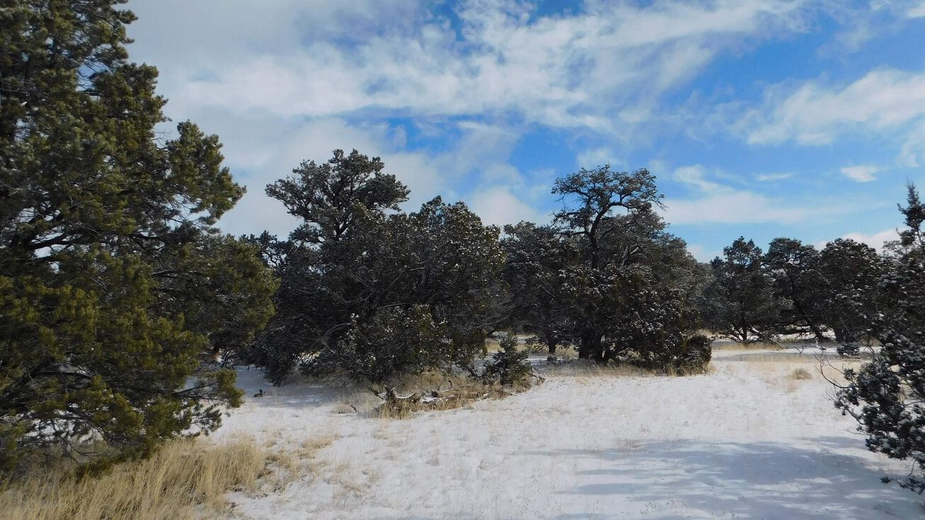 Lot 26 Spring Canyon, Quemado, NM 87829 Land for Sale Lot 26 Spring