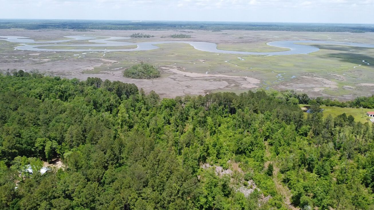 Harris Neck Rd, Townsend, GA 31331 Land for Sale Potential