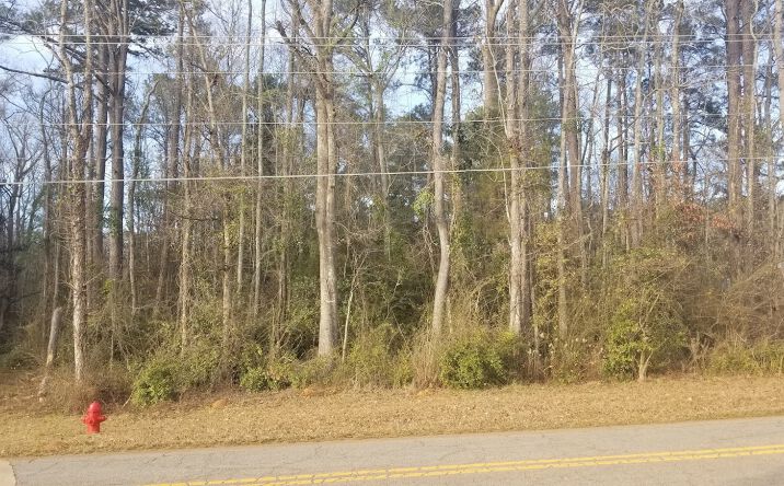Pictures of Land property located at Veterans Dr, Thomaston, GA 30286 for sales - image #1