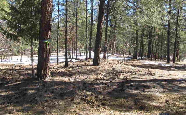 Pictures of Land property located at 29-30 Panderies Village 18th Fairway, Pendaries, NM 87742 for sales - image #1