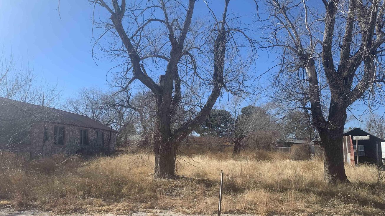 313 N Ave B, Tatum, NM 88267