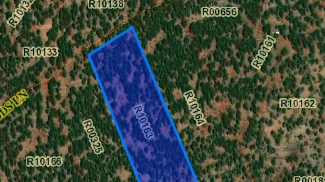 Lot 34b Mcgaffey Pines Mcgaffey, Fort Wingate, NM 87316